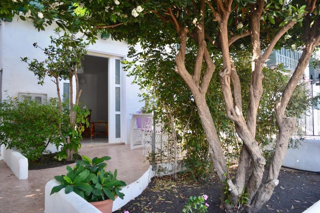 Playa Chica Apt With Terrace 100 M From The Sea بويرتو ذيل كارمين المظهر الخارجي الصورة